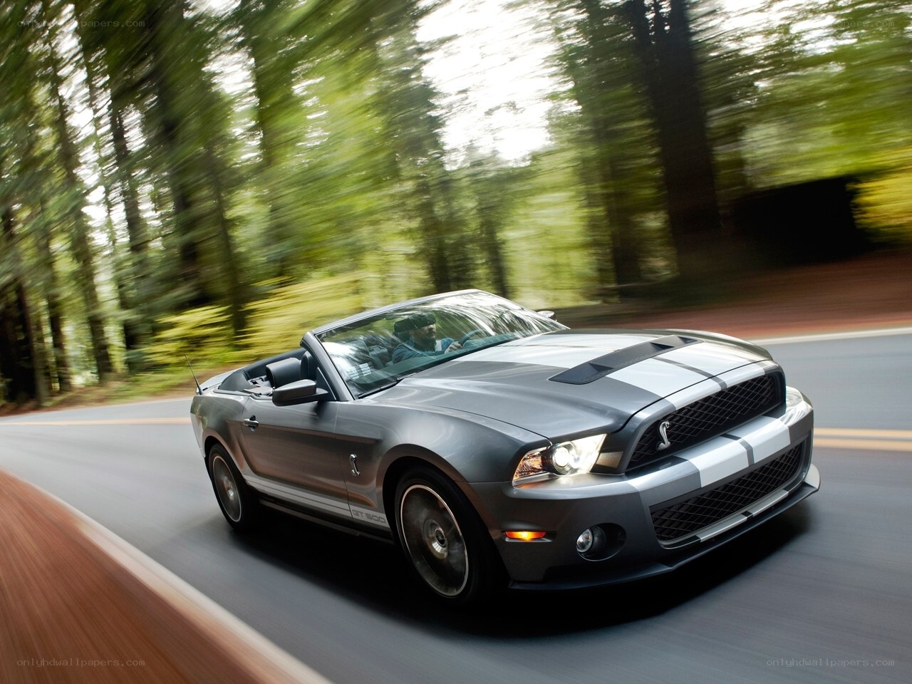 Gray Shelby GT500 convertible