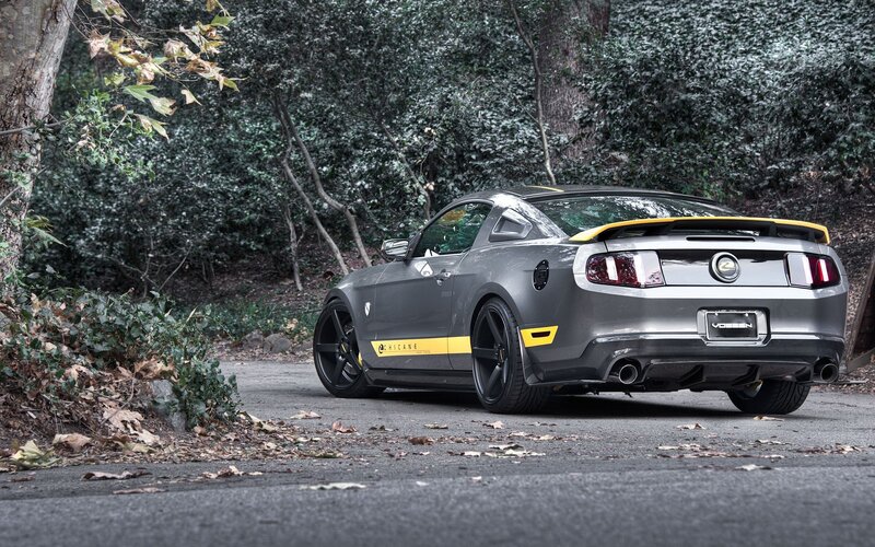 Gray Sports Car — Calm, Autumn, Photograph, Trees