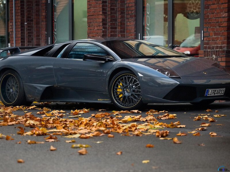 Gray Sports Car — Calm, Autumn