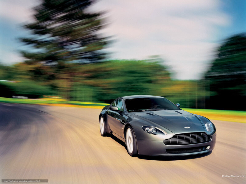 Gray Sports Car — Dynamic, Afternoon, Photograph, Road, Trees