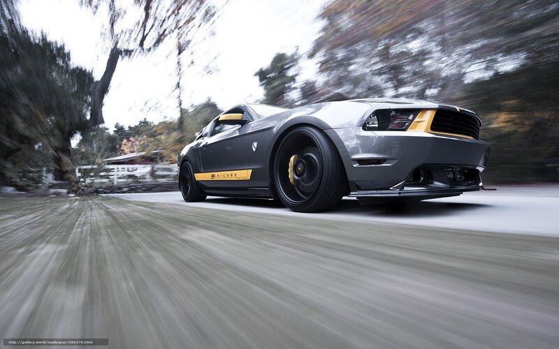 Gray Sports Car — Dynamic, Autumn, Photograph, Trees