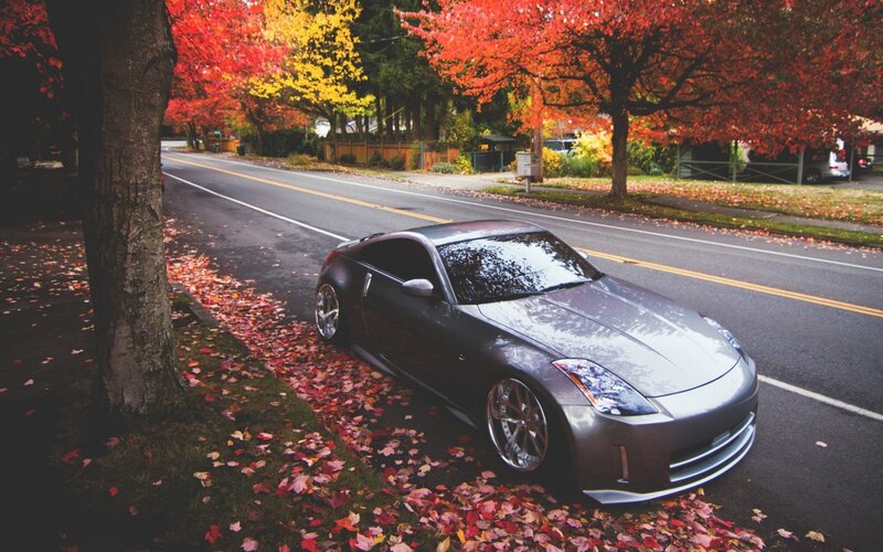 gray sports car in autumn