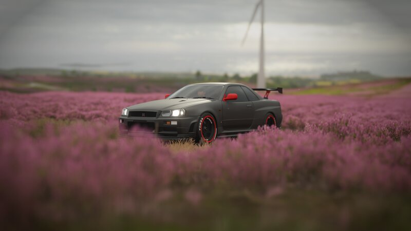 Gray Sports Car in Field