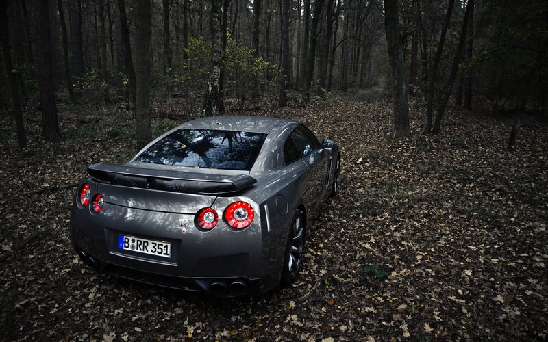 Gray sports car in forest