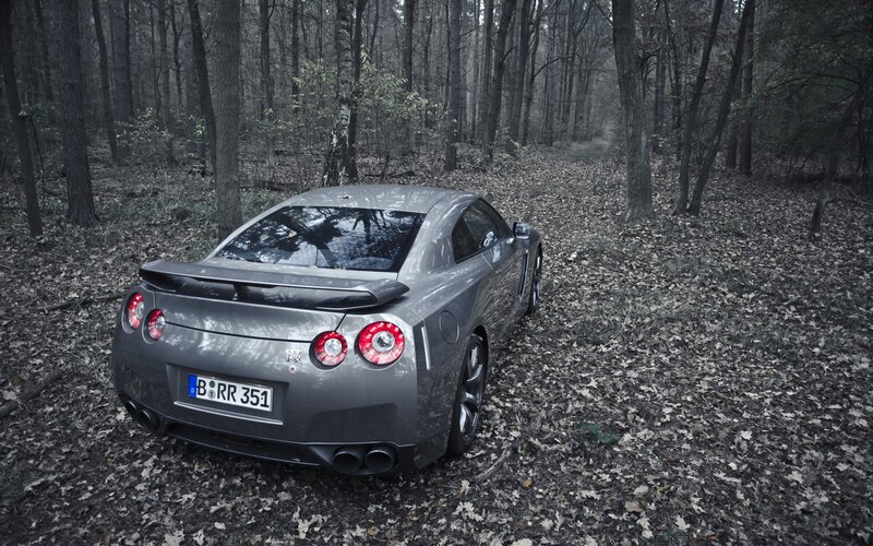 Gray Sports Car in Forest — Moody