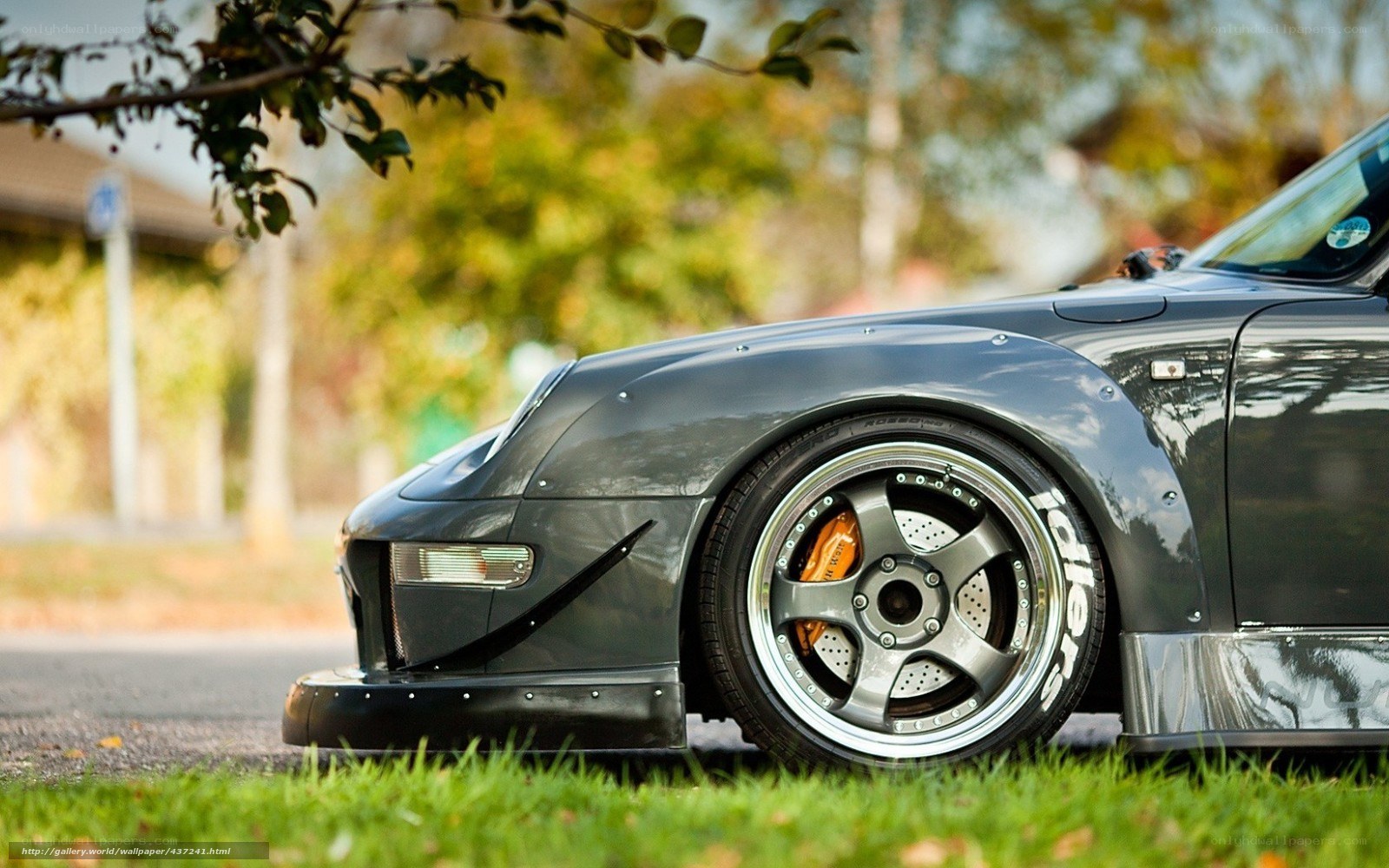 gray sports car on grass