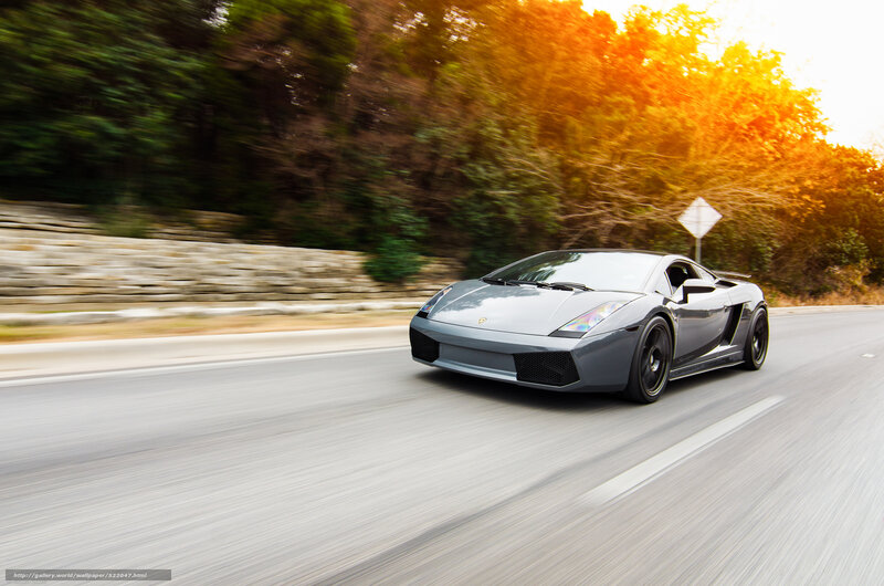 gray sports car on road