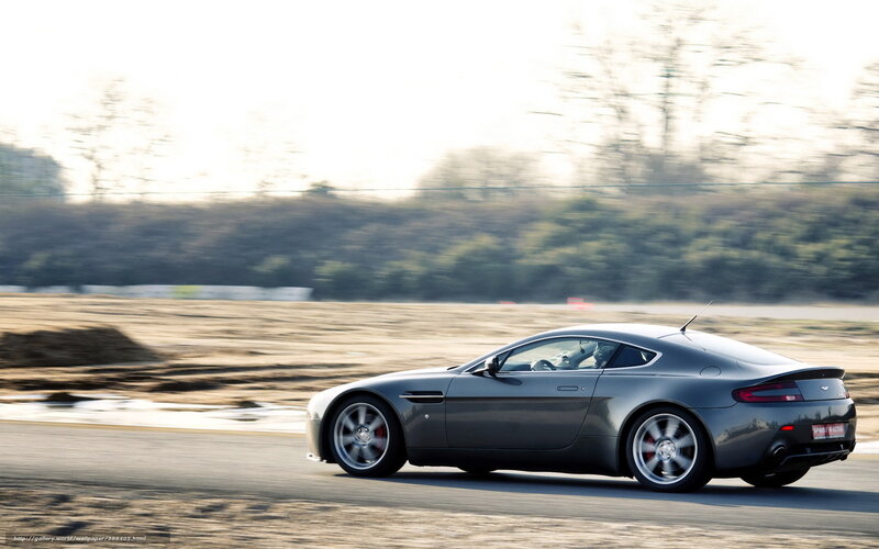 Gray Sports Car on Track — Dynamic, Afternoon, Photograph, Trees