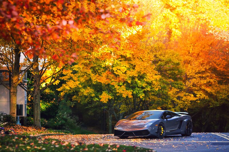 Gray Sports Car — Orange