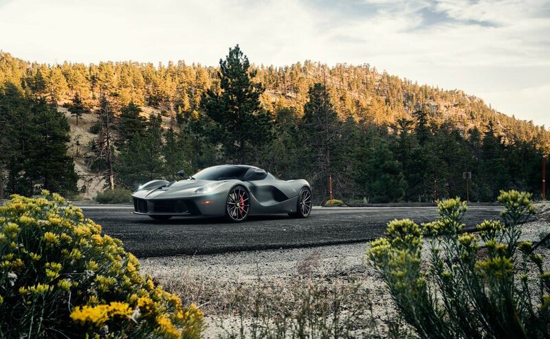Gray Sports Car — Serene, Afternoon, Photograph, Forest