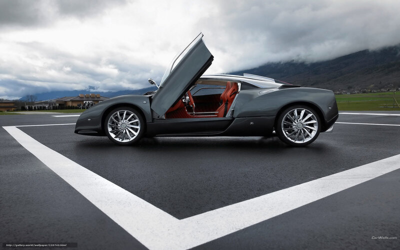 gray sports car with open door