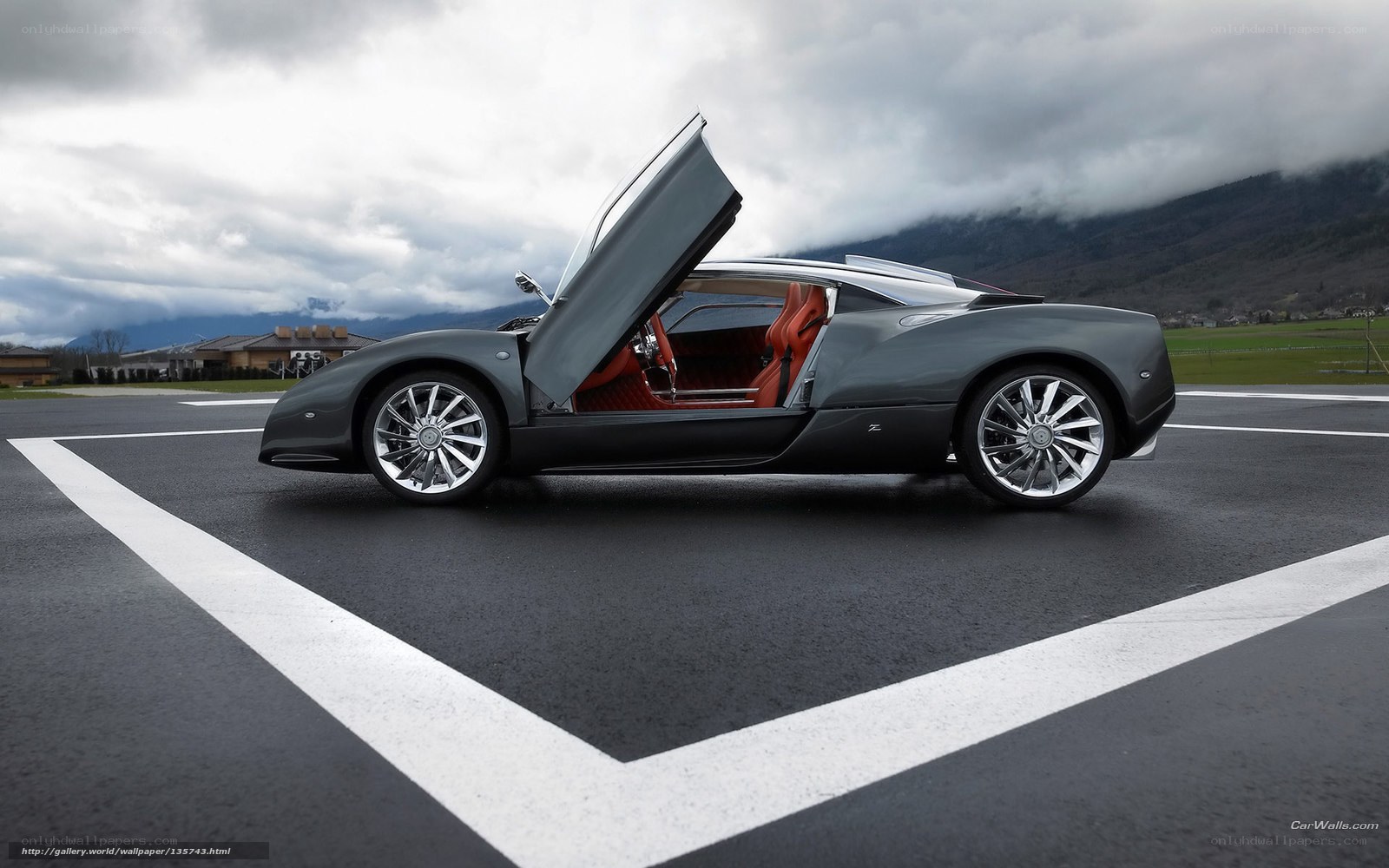 gray sports car with open door