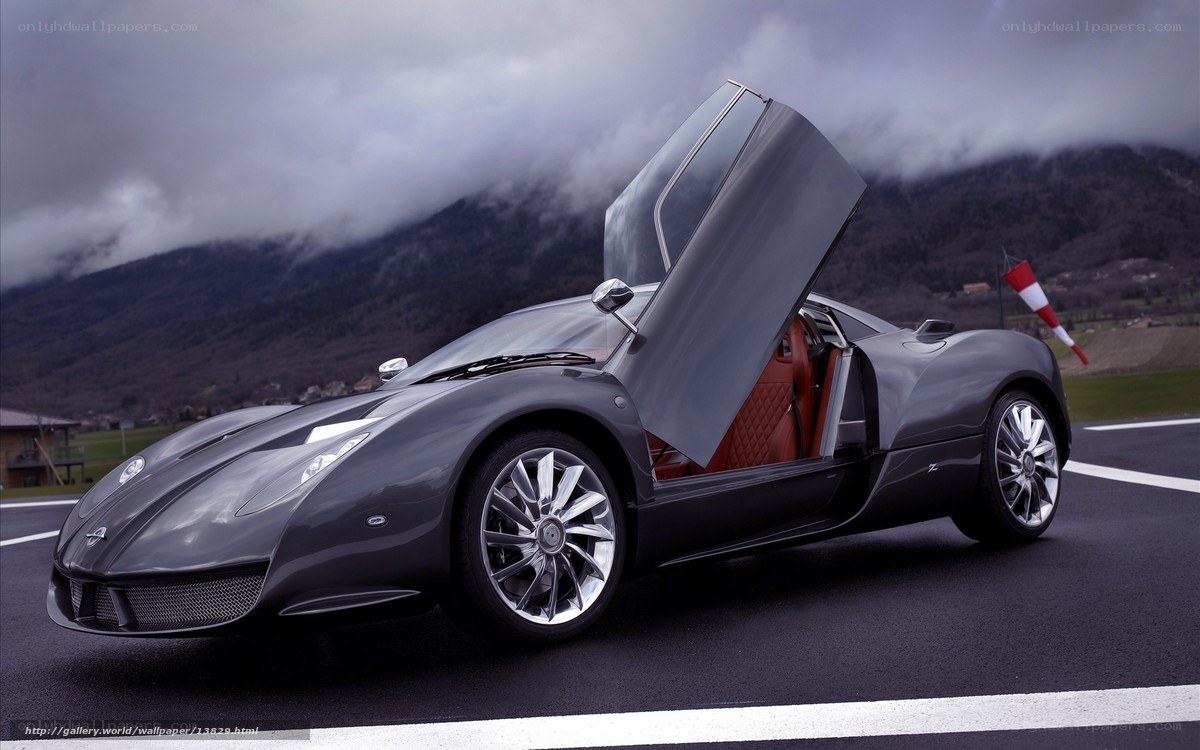 gray sports car with open door