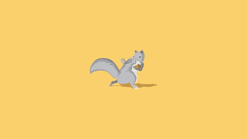 Gray Squirrel Holding Nut