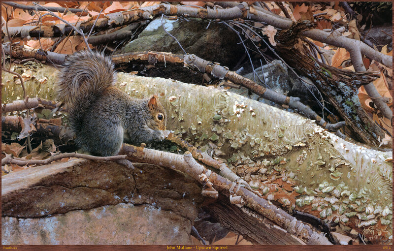 Gray Squirrel on Log — Brown, Natural