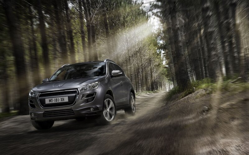 Gray SUV in Forest — Dynamic