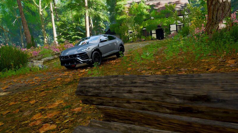 Gray Suv in Forest