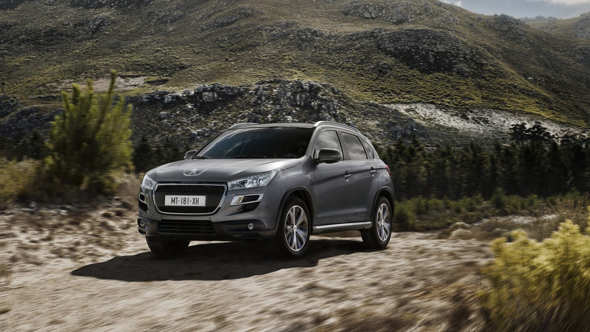 Gray SUV on a dirt road