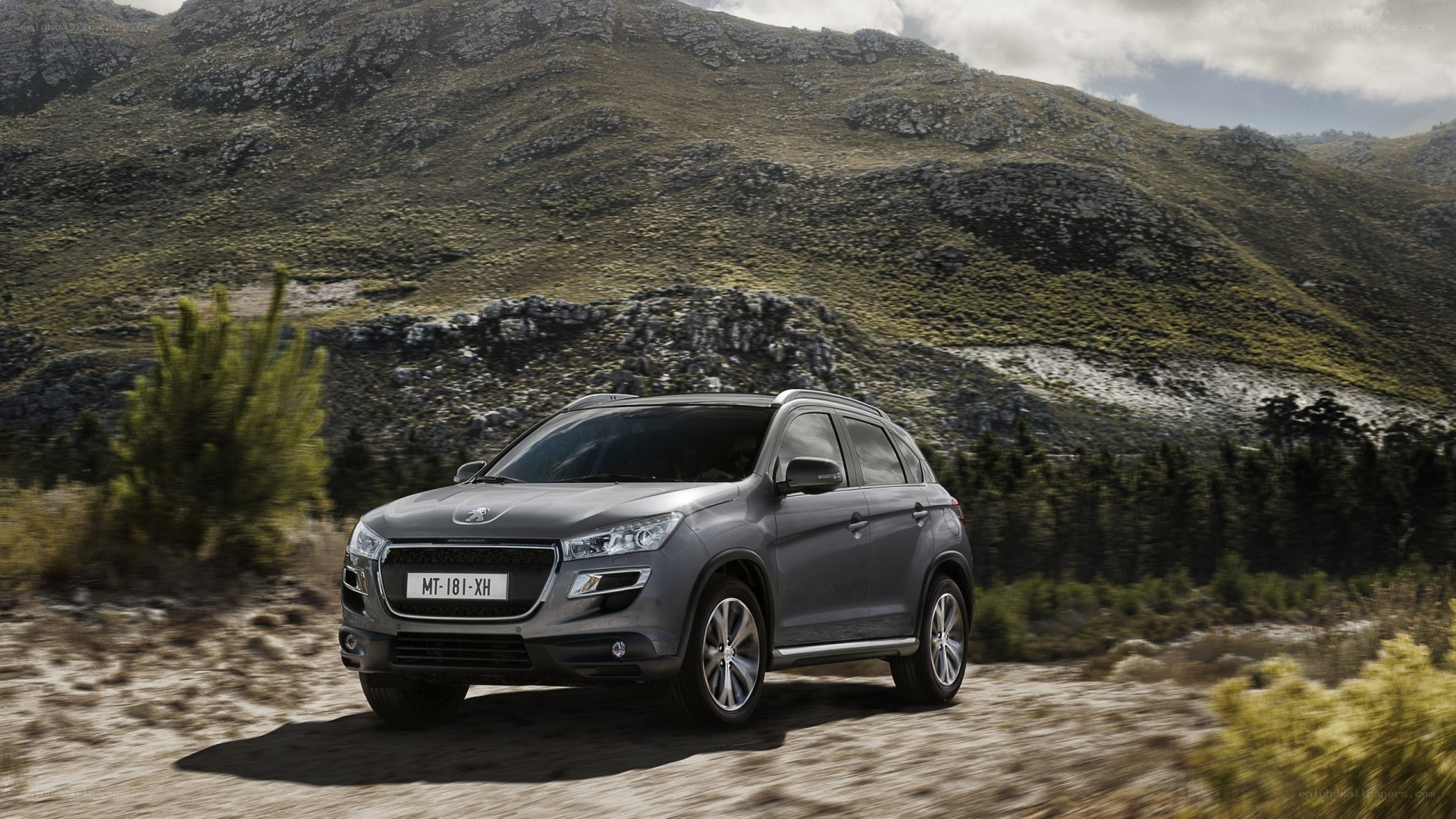 Gray SUV on a dirt road