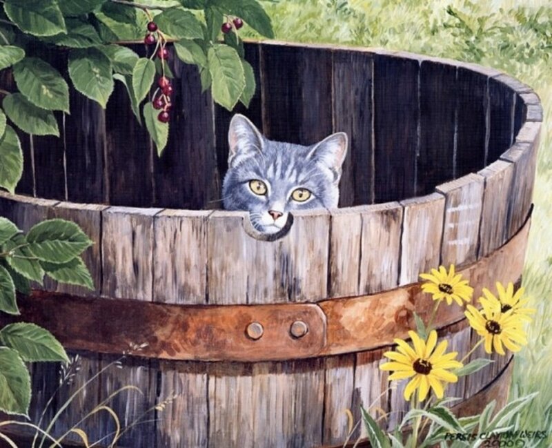 Gray Tabby Cat in Barrel — Brown