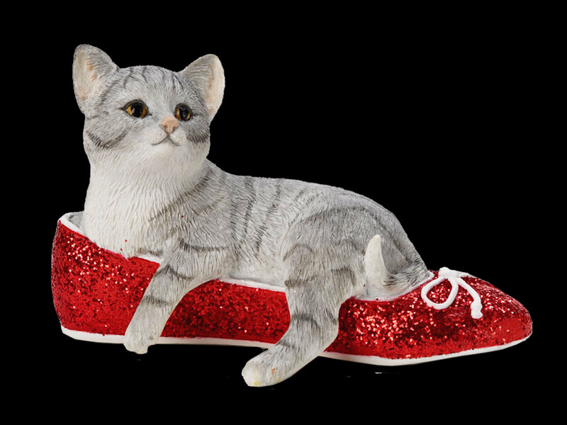 Gray Tabby Cat in Shoe