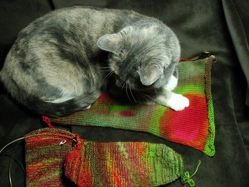 Gray Tabby Cat on Knitted Items