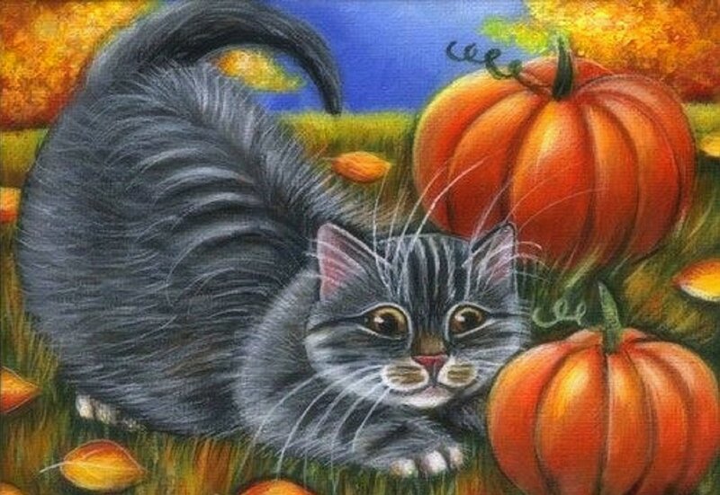 Gray Tabby Cat — Orange, Calm