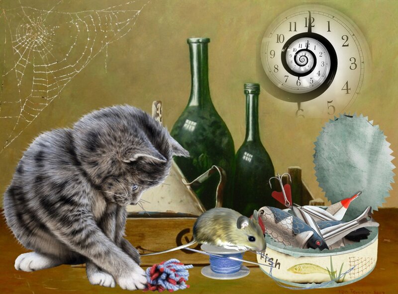 Gray Tabby Kitten — Brown, Still Life