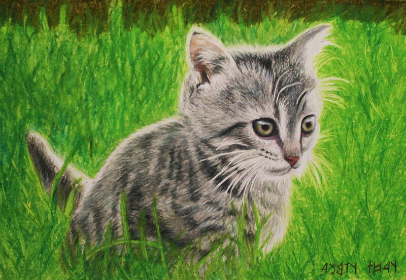 Gray Tabby Kitten — Green, Calm, Afternoon, Illustration