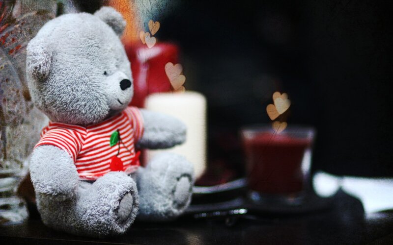 Gray Teddy Bear — Cozy