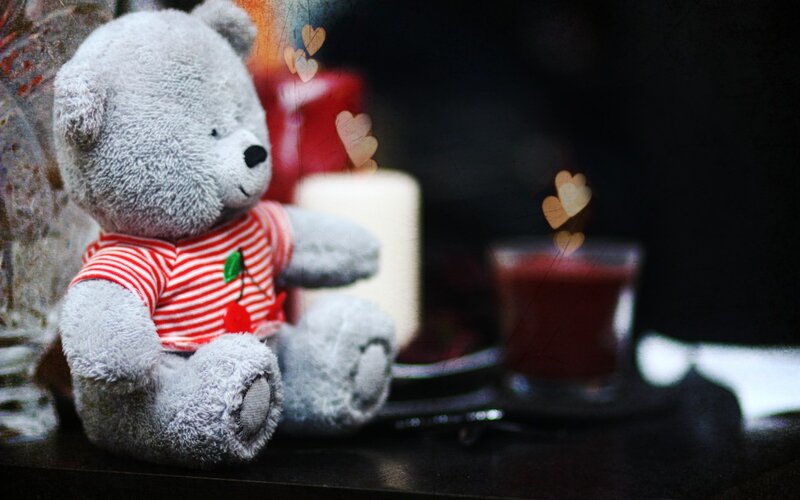 Gray Teddy Bear — Intimate