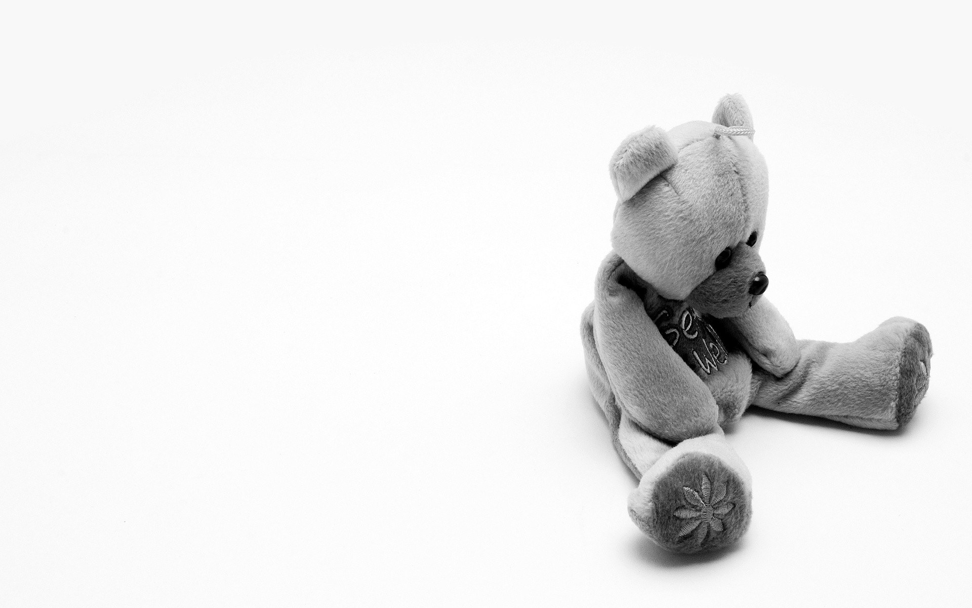 gray teddy bear sitting