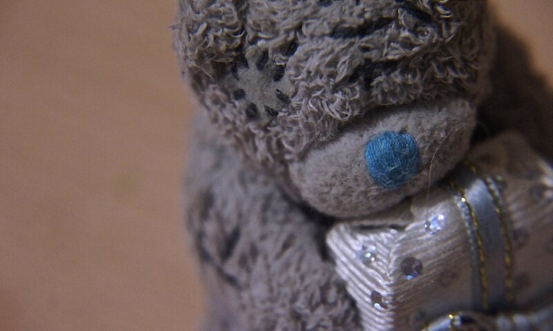 Gray Teddy Bear