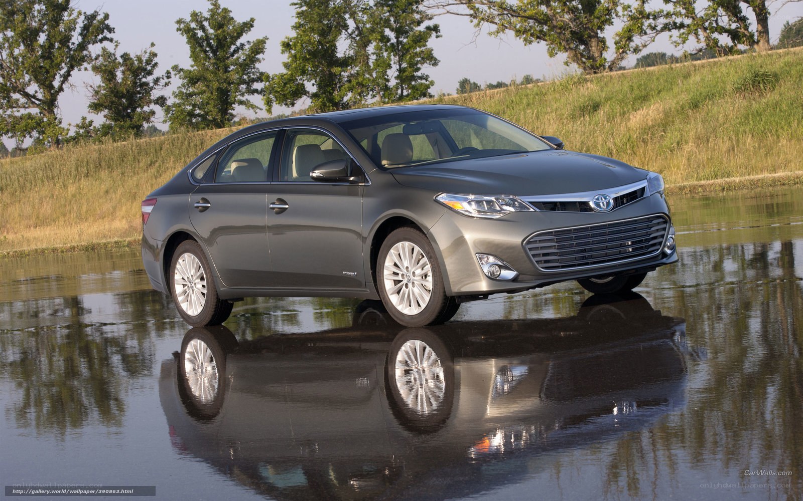 Gray Toyota Avalon on wet surface