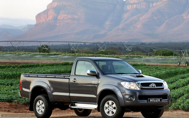 Gray Toyota Hilux in a field