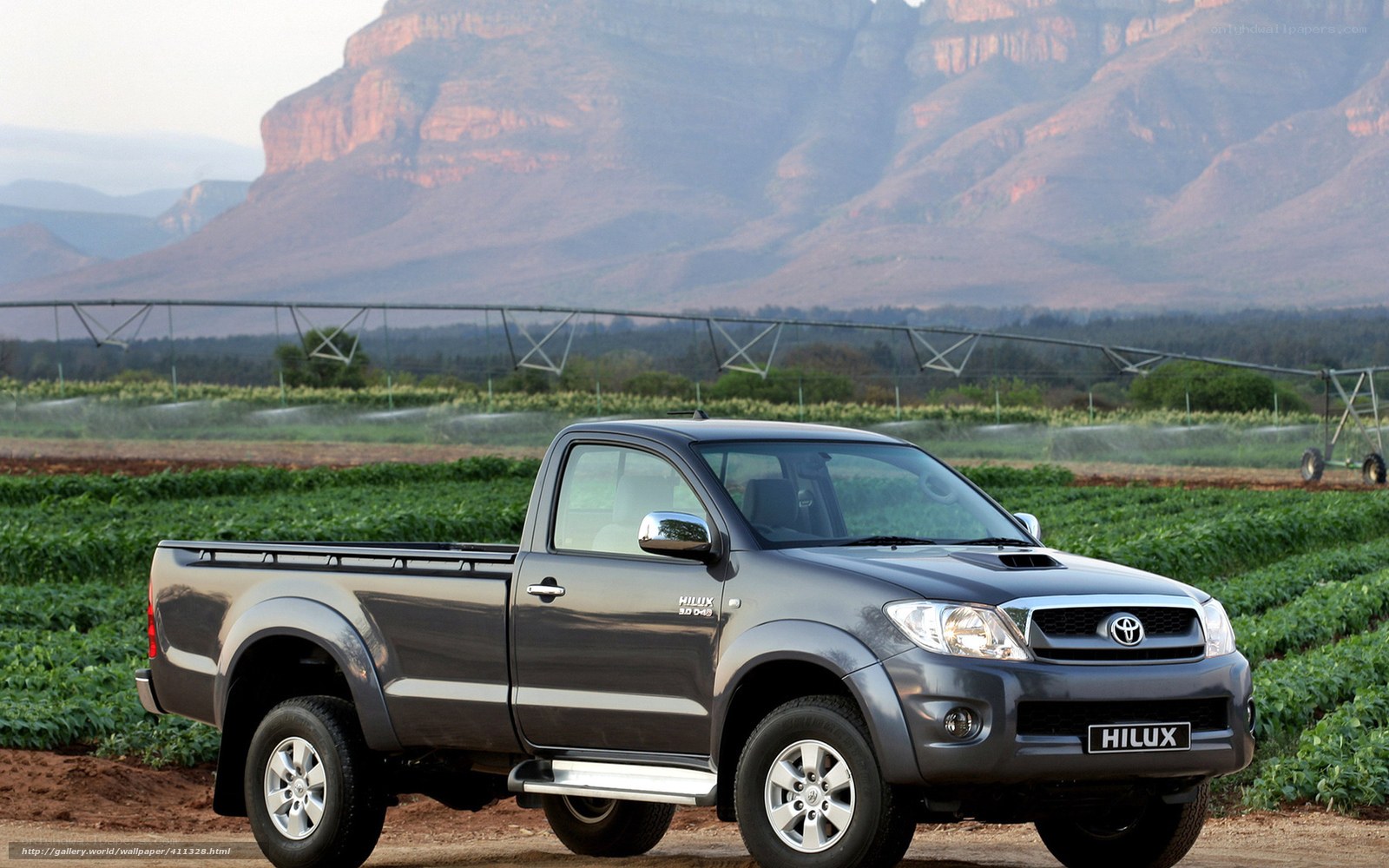 Gray Toyota Hilux in a field