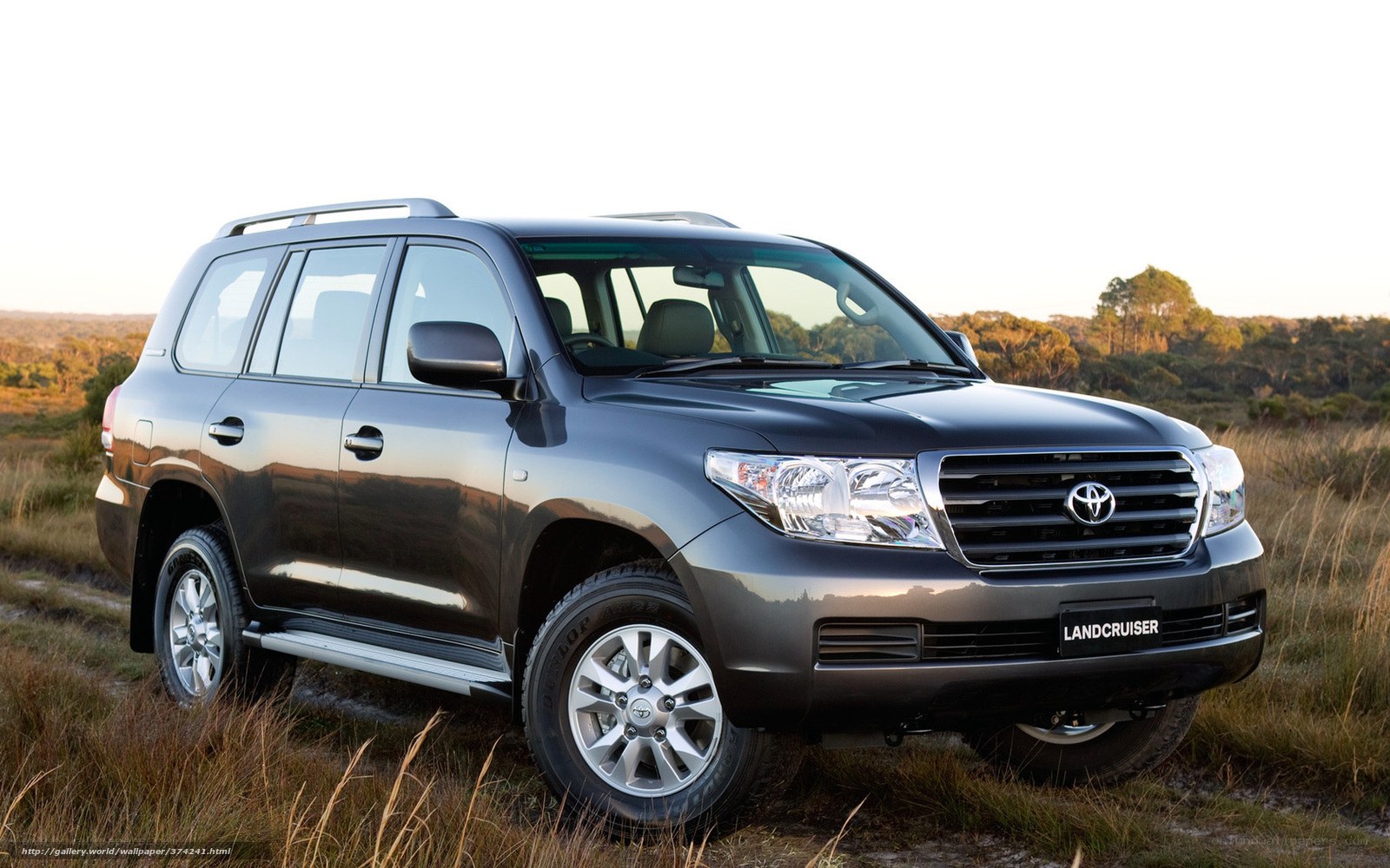 Gray Toyota Land Cruiser in field