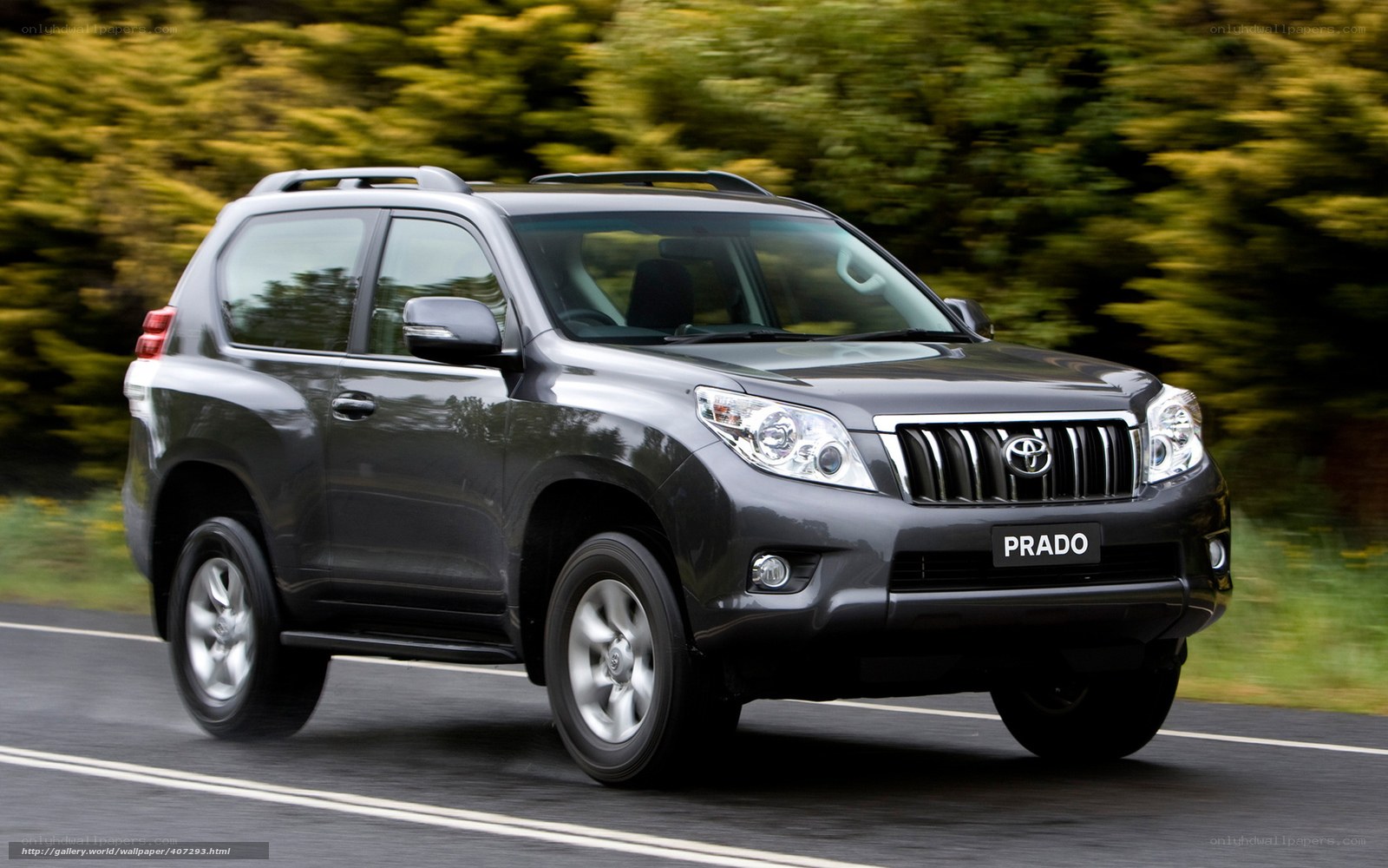 Gray Toyota Prado on road