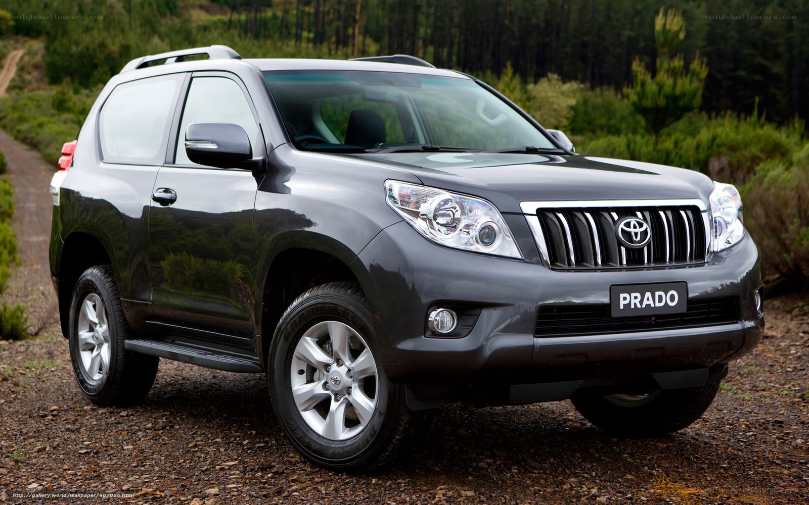 Gray Toyota Prado SUV
