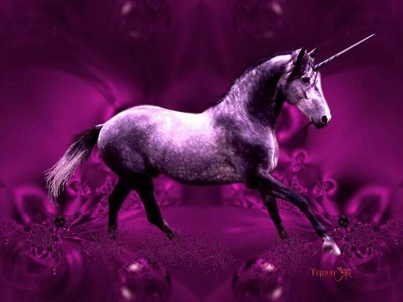 Gray Unicorn Running
