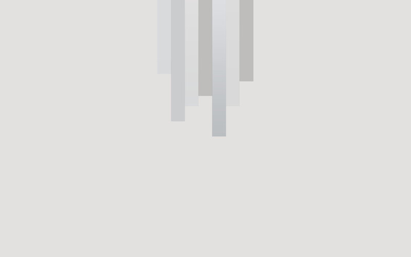 gray vertical bars on white