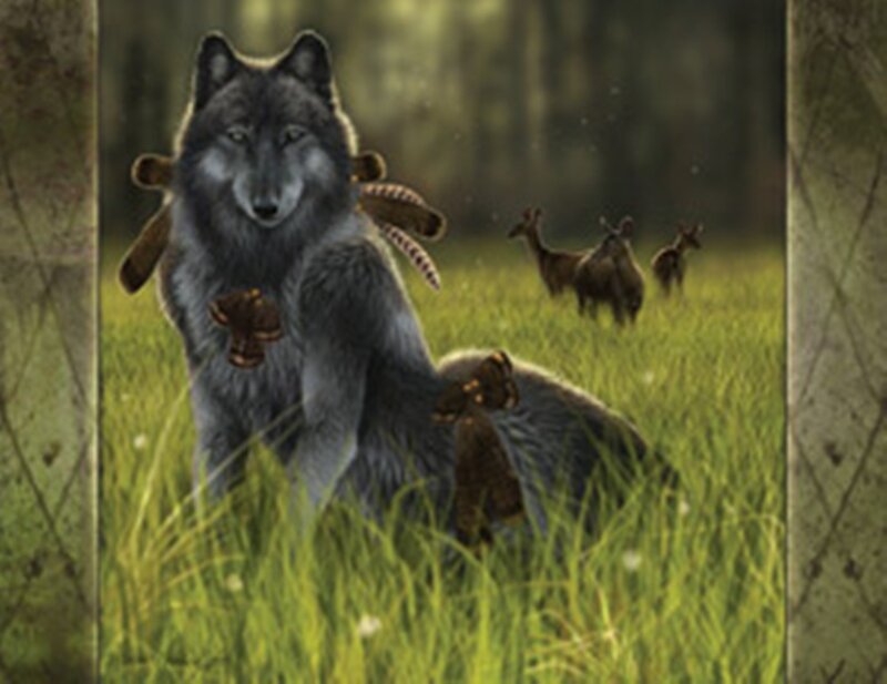 Gray Wolf in Grass — Green