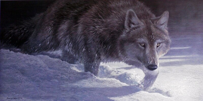 Gray Wolf in Snow — Dramatic, Winter, Painting