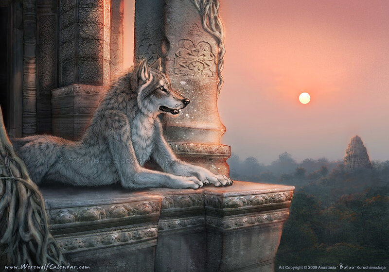 Gray Wolf on Stone Ledge