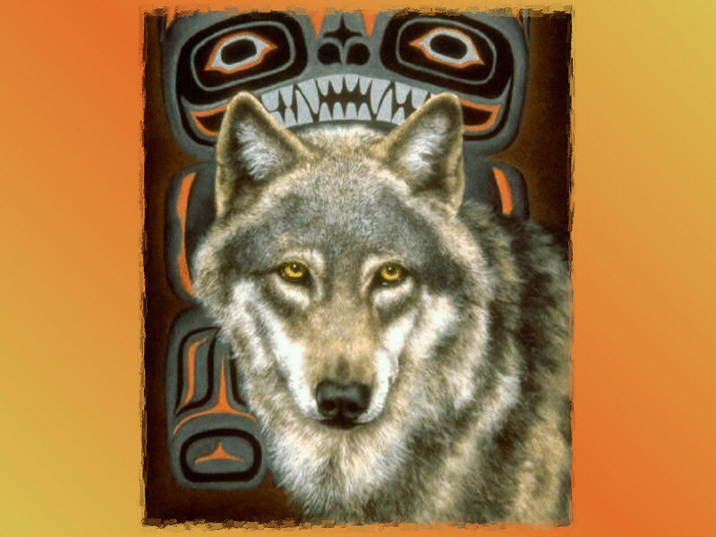 Gray Wolf Portrait