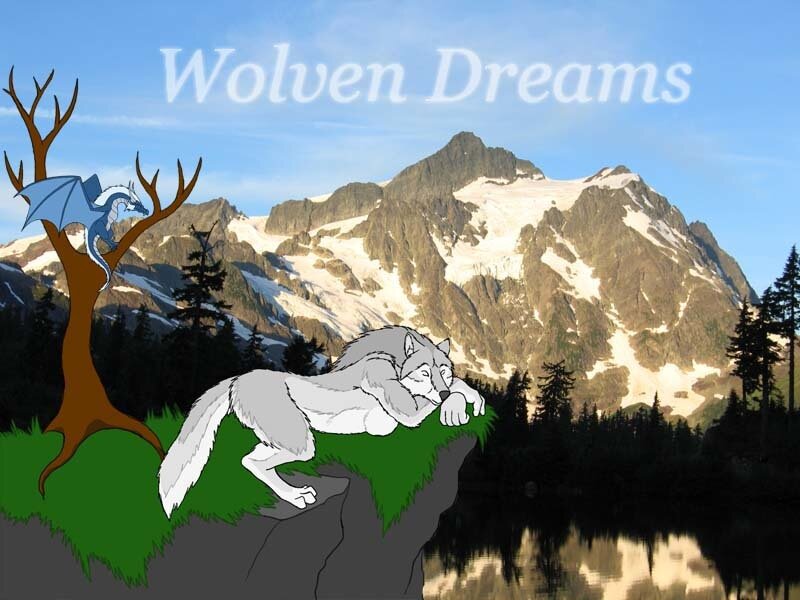 Gray Wolf Sleeping