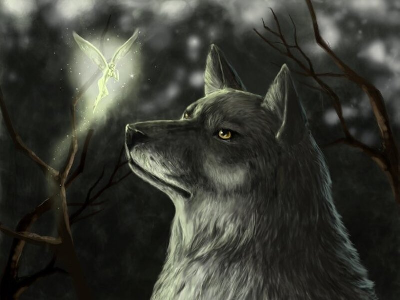 Gray Wolf with Fairy