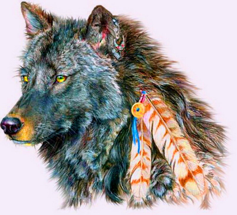 Gray Wolf with Feathers — Calm
