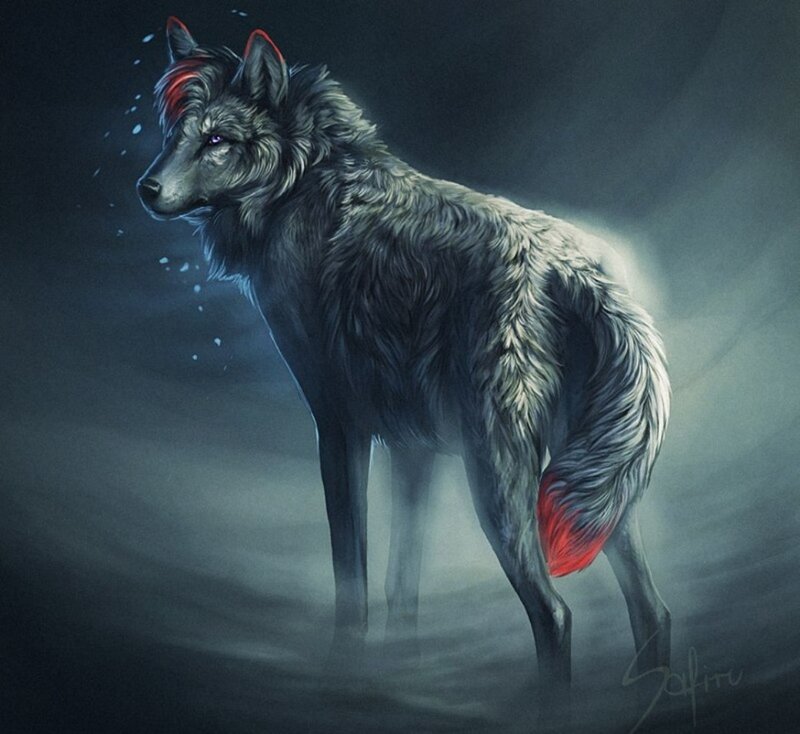 Gray Wolf with Red Markings