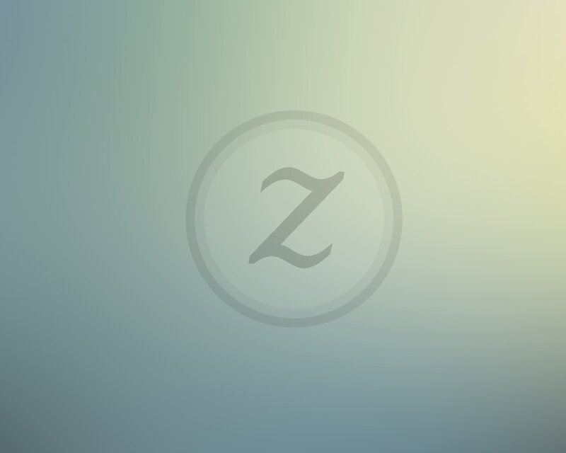 Gray Z Logo